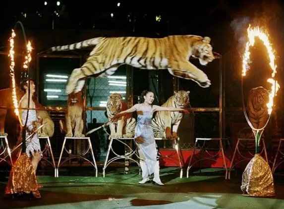 90后開農(nóng)家院，也能年入過百萬(wàn)|餐飲界