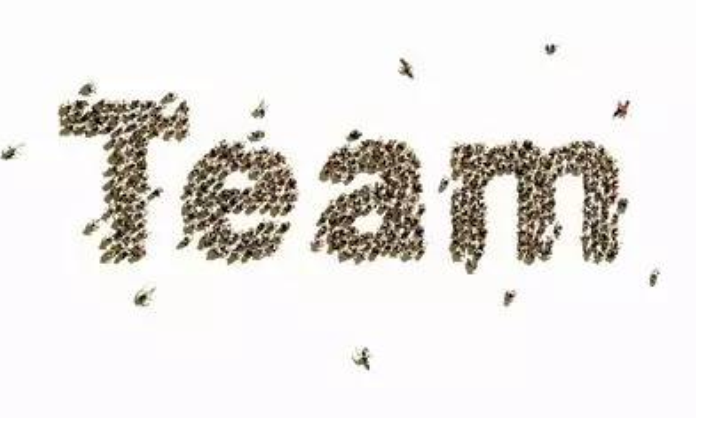 轉(zhuǎn)換視角，鹿看餐飲品牌的投資價(jià)值