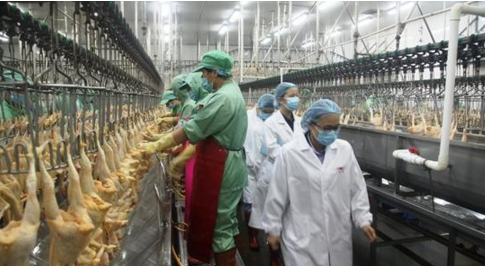 8000塊起家，如今靠養(yǎng)殖做到2000億，足可比肩華為卻鮮有人知|餐飲界