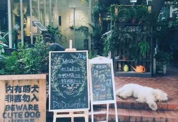 如何開家能賺錢的咖啡館？過來人是這樣算帳的...|餐飲界