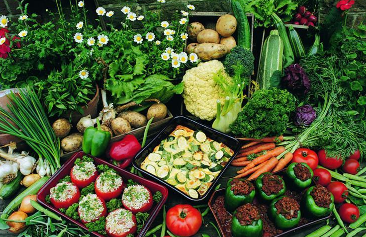 把生命浪費(fèi)在美好上，體驗(yàn)不好怎么行？（上）