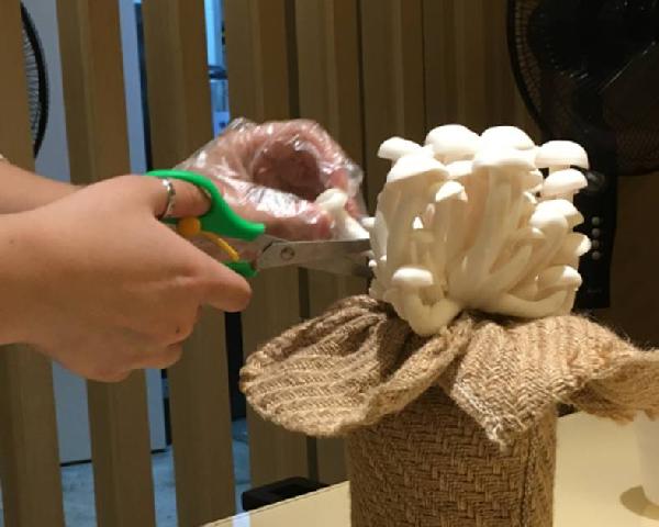 餐飲三巨頭的“爆品”玄機，其實就是4個字|餐飲界