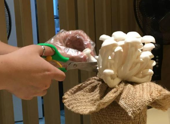 餐飲三巨頭的“爆品”玄機(jī)，其實(shí)就是4個字|餐飲界