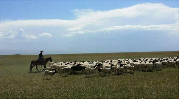餐飲定位就是品類+客群？錯！還要看消費(fèi)場景|餐飲界