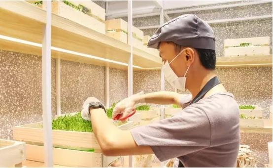 這家麻辣燙把農(nóng)場搬進(jìn)店里，獲千萬融資|餐飲界