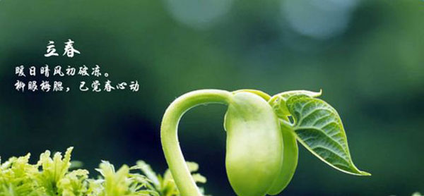 用好這幾點，讓你的火鍋加盟店在春天有個紅紅火火的開始