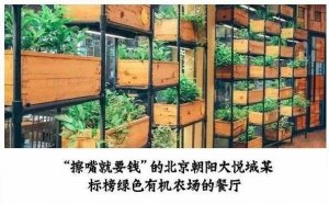 但凡說紙巾要2元的餐廳，我不會去第二次！|餐飲界