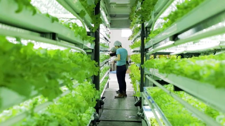 新鮮，餐飲營(yíng)銷(xiāo)的全新戰(zhàn)場(chǎng)|餐飲界